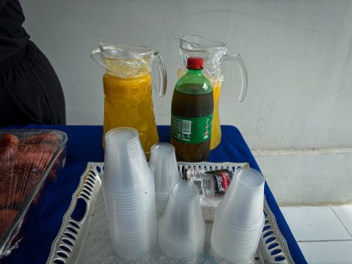 IMG 4981